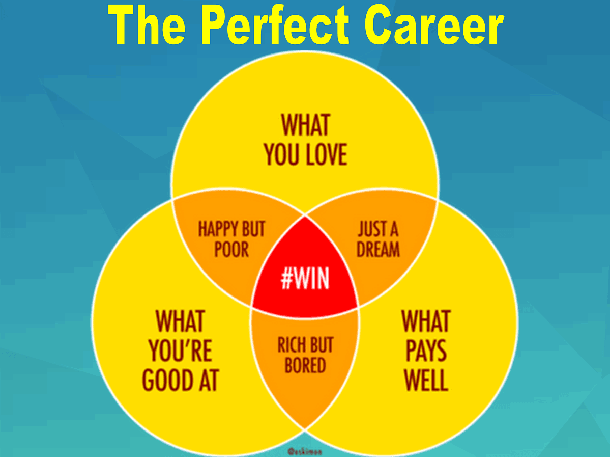job-vs-career-icon